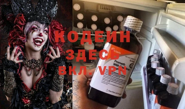 дурь Алексин