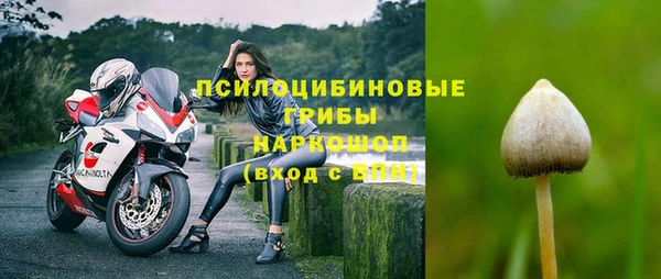 дурь Алексин